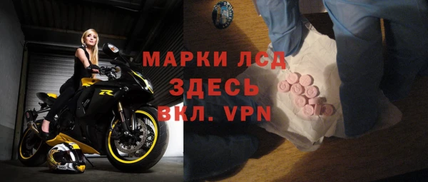 прущие грибы Волосово