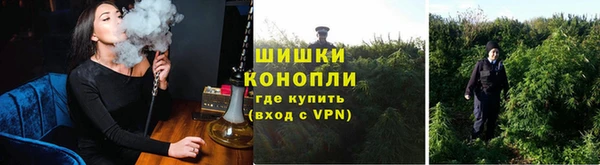 прущие грибы Волосово