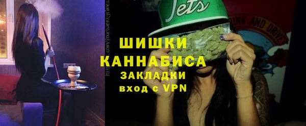 молекула духа Волоколамск