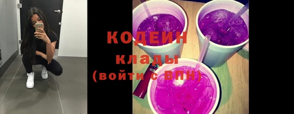 молекула духа Волоколамск