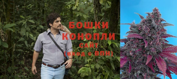 молекула духа Волоколамск