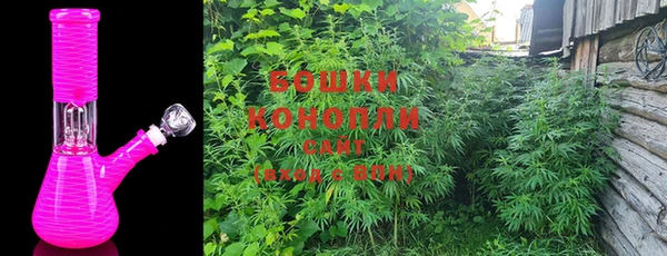 молекула духа Волоколамск