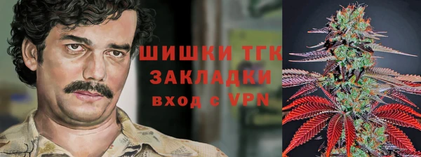 молекула духа Волоколамск