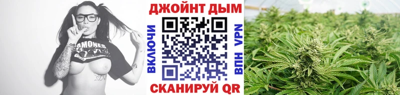 Бошки марихуана индика Брюховецкая